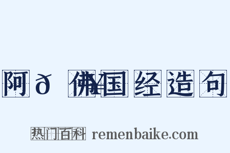 阿𬮥佛国经造句是什么意思的图片